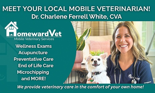 HomewardVet Cover Image HomewardVet Cover Image