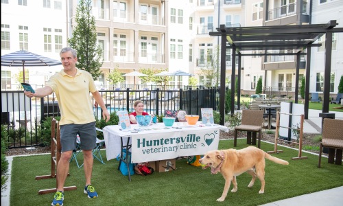 Huntersville Vet Clinic Cover Image Huntersville Vet Clinic Cover Image